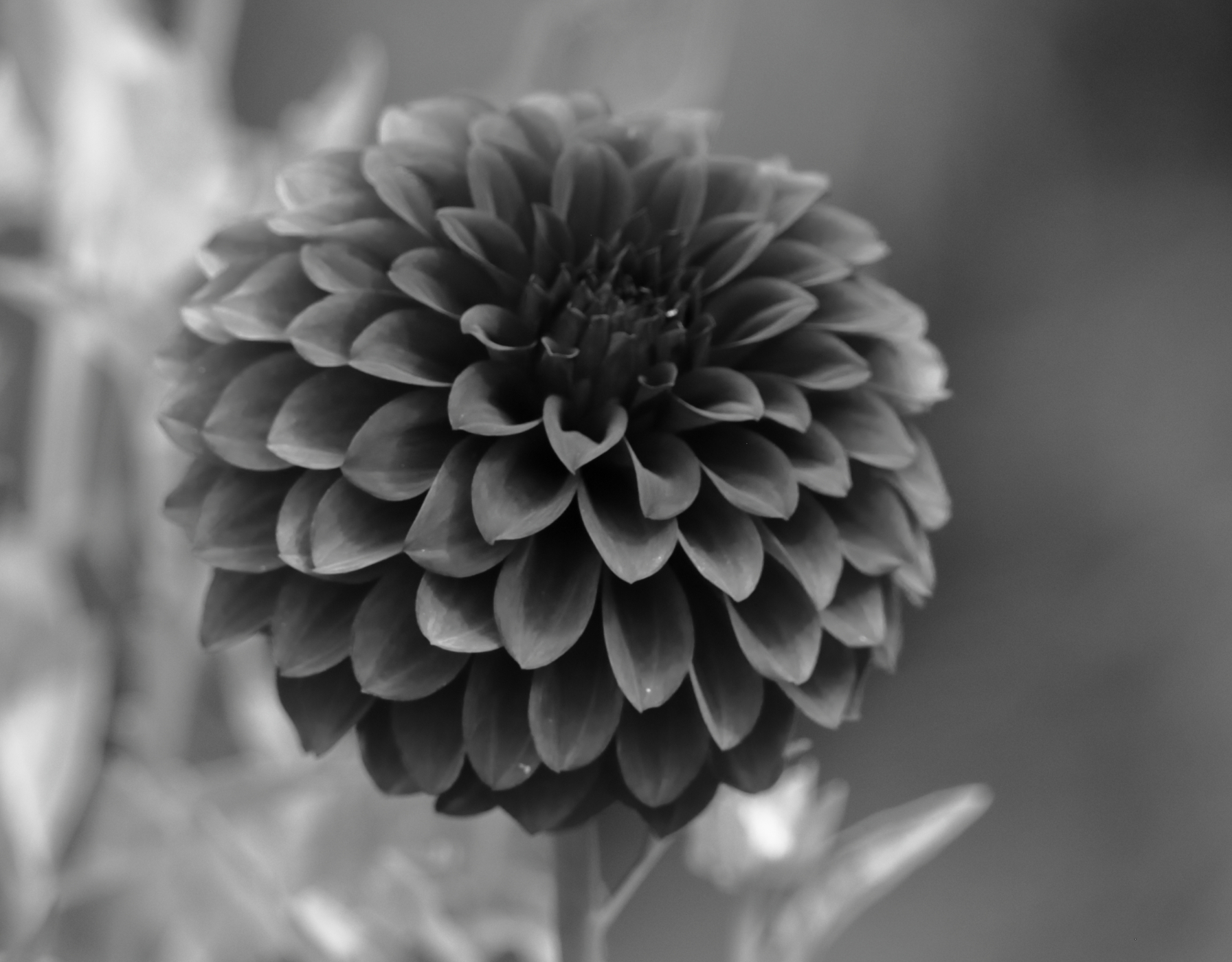 2021 08 07 HTP 50594ebw